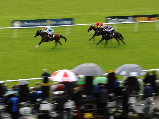 There is Flat racing at Naas on Wednesday